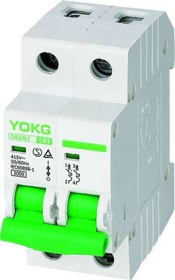 6KA 220V Mini Circuit Breaker SB6L 1 Pole 2 Pole High Breaking Capacity