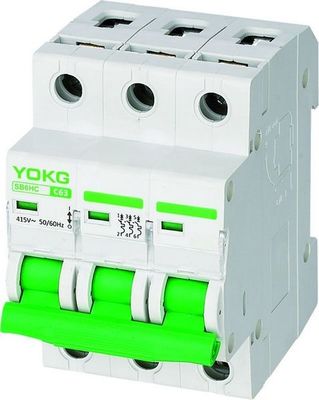 CE RoHs 2 Pole Miniature Circuit Breaker 63 Amp Din Rail MCB