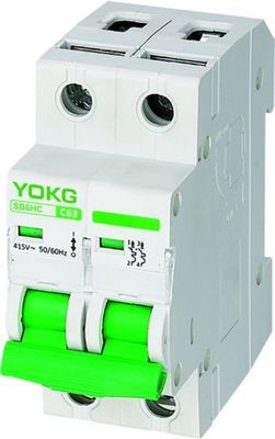 CE RoHs 2 Pole Miniature Circuit Breaker 63 Amp Din Rail MCB